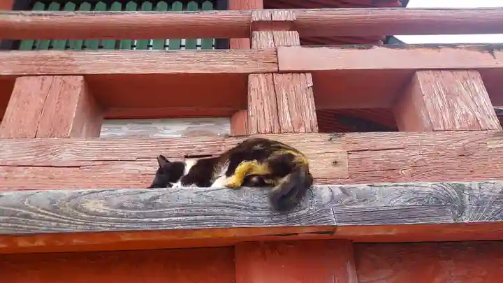 甲斐善光寺(山梨県)