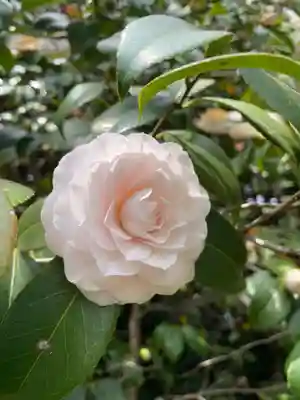 城南宮(京都府)