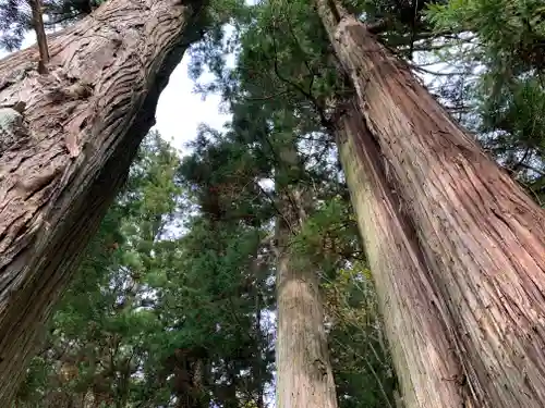 鹿島大神宮(福島県)