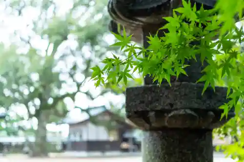 玉祖神社(山口県)