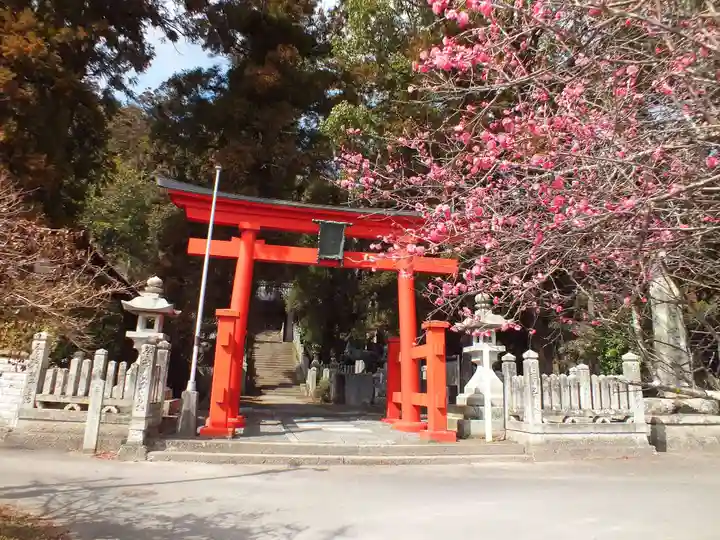 祝田神社の鳥居