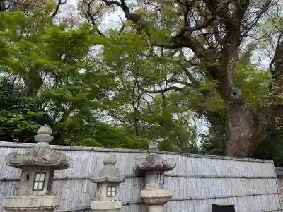 石清水八幡宮の{uncategorized: "未分類", other: "その他", undefined: "問題あり", building: "その他建物", grave: "お墓", sacred_gate: "鳥居", guardian: "狛犬", statue: "像", buddha: "仏像", history: "歴史", nature: "自然", garden: "庭園", animal: "動物", pagoda: "塔", temizu: "手水舎", mountain_gate: "山門・神門", sanctuary: "本殿・本堂", subordinate: "末社・摂社", art: "芸術", scenery: "景色", jizo: "地蔵", ema: "絵馬", goshuin: "御朱印", omikuji: "おみくじ", items: "授与品その他", amulet: "お守り", goshuincho: "御朱印帳", eats: "食事", festival: "お祭り", votive_dance: "神楽", shichigosan: "七五三参", wedding: "結婚式", experience: "体験その他", initially: "初詣", around: "周辺", anti_infection: "感染症対策"}