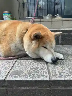 笠䅣稲荷神社(神奈川県)