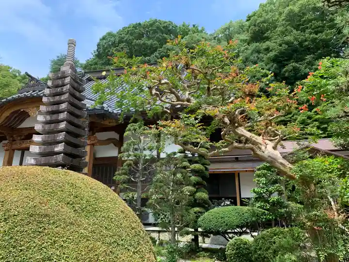 天性寺のその他建物
