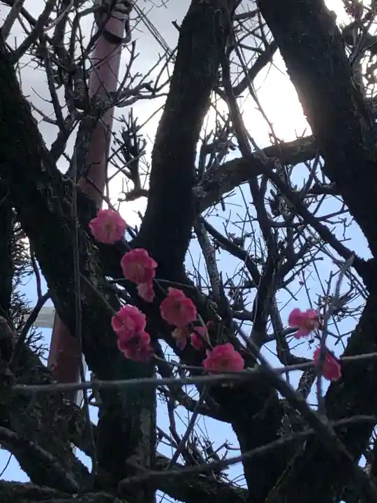 境香取神社の自然