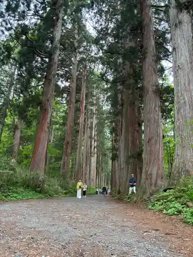 戸隠神社奥社(長野県)