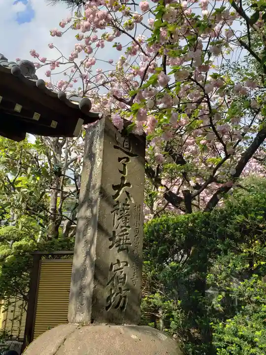 宝泉寺のその他建物