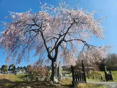 長徳寺(岩手県)