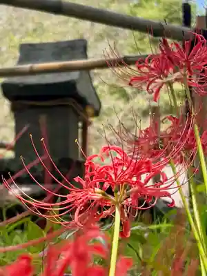蚊里田八幡宮(長野県)