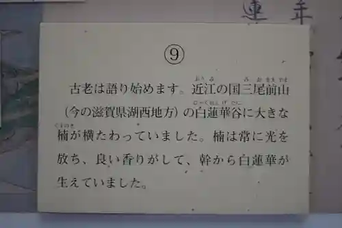 長谷寺(奈良県)