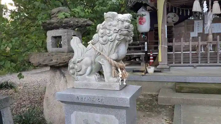中川熊野神社の狛犬