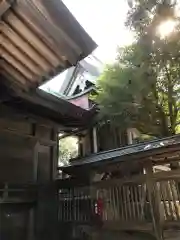 粟嶋神社の本殿