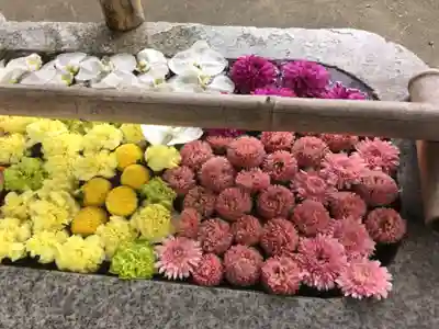 札幌伏見稲荷神社の手水舎