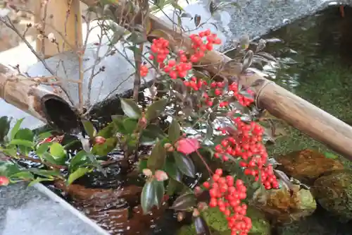 高司神社〜むすびの神の鎮まる社〜の手水舎