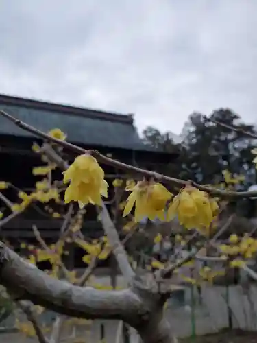 沙沙貴神社の自然