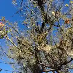 七重浜海津見神社(北海道)