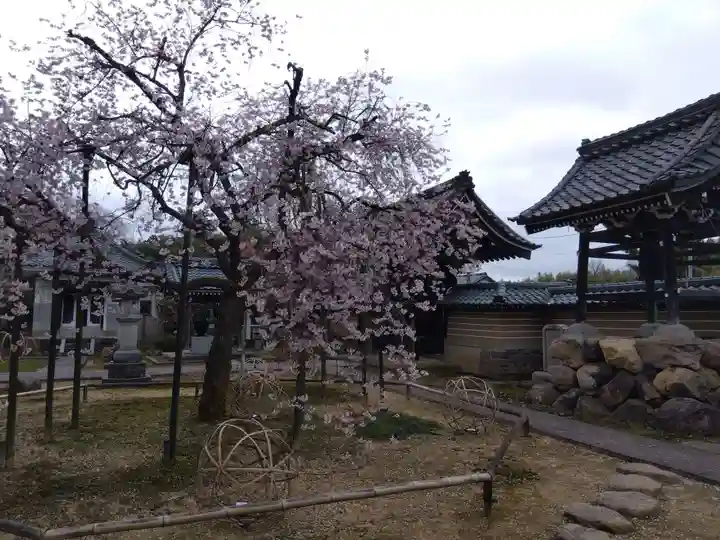 城福寺(福井県)