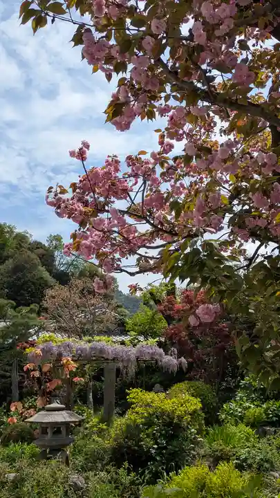 乘願院(京都府)