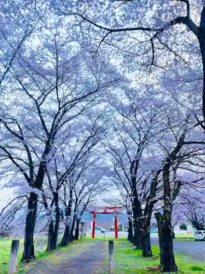 子檀嶺神社(長野県)