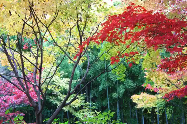 本土寺(千葉県)