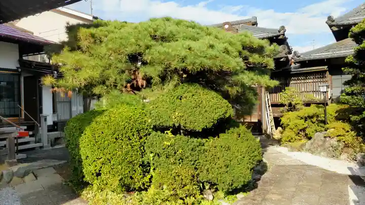 明白院(東京都)