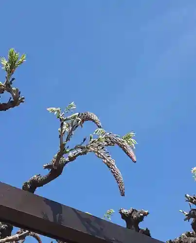 西方山極楽寺(岐阜県)