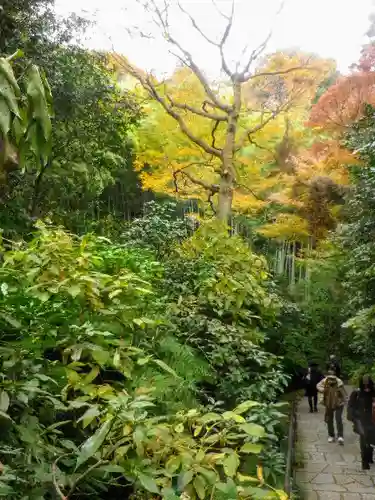 瑞泉寺のその他建物