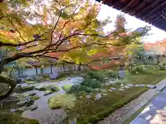 禅林寺（永観堂）の庭園