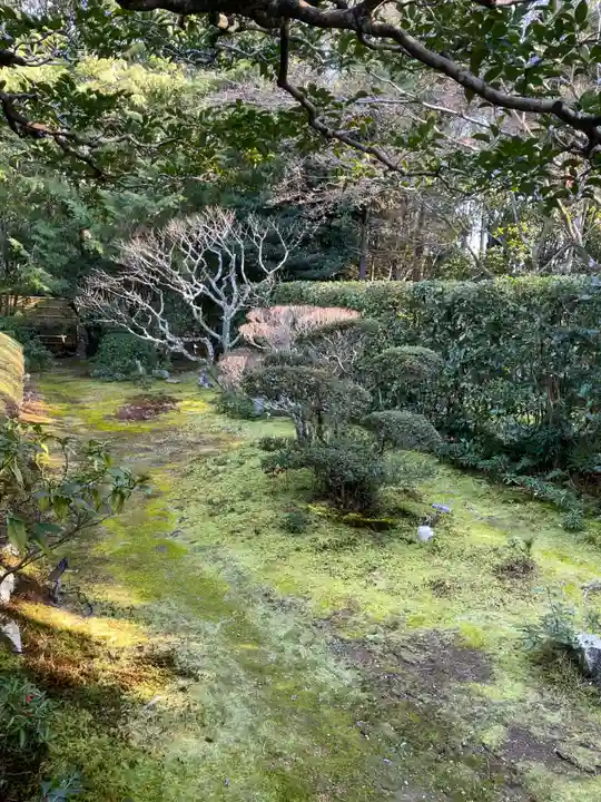 桂春院(京都府)