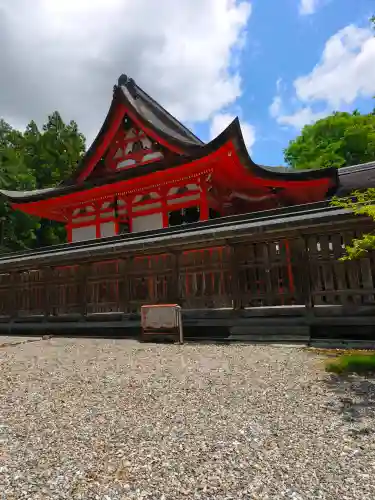 土佐神社の{uncategorized: "未分類", other: "その他", undefined: "問題あり", building: "その他建物", grave: "お墓", sacred_gate: "鳥居", guardian: "狛犬", statue: "像", buddha: "仏像", history: "歴史", nature: "自然", garden: "庭園", animal: "動物", pagoda: "塔", temizu: "手水舎", mountain_gate: "山門・神門", sanctuary: "本殿・本堂", subordinate: "末社・摂社", art: "芸術", scenery: "景色", jizo: "地蔵", ema: "絵馬", goshuin: "御朱印", omikuji: "おみくじ", items: "授与品その他", amulet: "お守り", goshuincho: "御朱印帳", eats: "食事", festival: "お祭り", votive_dance: "神楽", shichigosan: "七五三参", wedding: "結婚式", experience: "体験その他", initially: "初詣", around: "周辺", anti_infection: "感染症対策"}