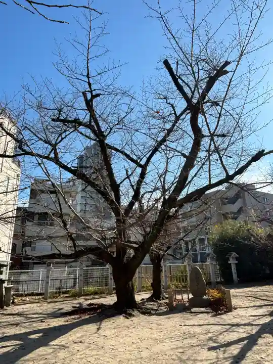 真田山 三光神社の{uncategorized: "未分類", other: "その他", undefined: "問題あり", building: "その他建物", grave: "お墓", sacred_gate: "鳥居", guardian: "狛犬", statue: "像", buddha: "仏像", history: "歴史", nature: "自然", garden: "庭園", animal: "動物", pagoda: "塔", temizu: "手水舎", mountain_gate: "山門・神門", sanctuary: "本殿・本堂", subordinate: "末社・摂社", art: "芸術", scenery: "景色", jizo: "地蔵", ema: "絵馬", goshuin: "御朱印", omikuji: "おみくじ", items: "授与品その他", amulet: "お守り", goshuincho: "御朱印帳", eats: "食事", festival: "お祭り", votive_dance: "神楽", shichigosan: "七五三参", wedding: "結婚式", experience: "体験その他", initially: "初詣", around: "周辺", anti_infection: "感染症対策"}