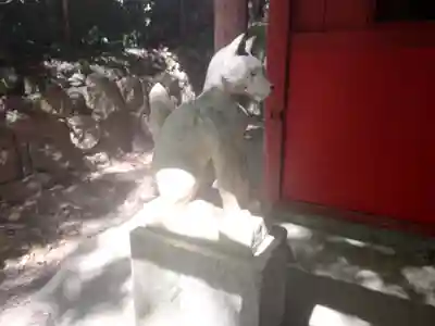伊居太神社の狛犬