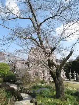 慶龍寺(茨城県)