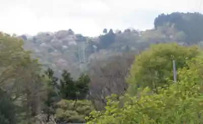 宝登山神社奥宮(埼玉県)