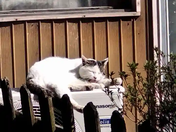阿邪訶根神社(福島県)