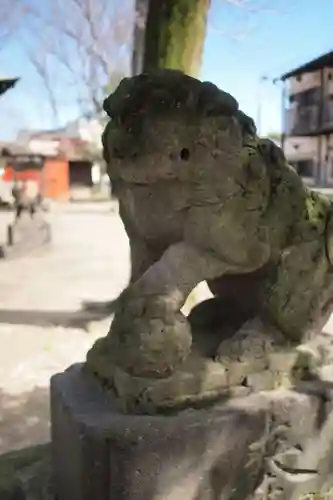 青渭神社の狛犬