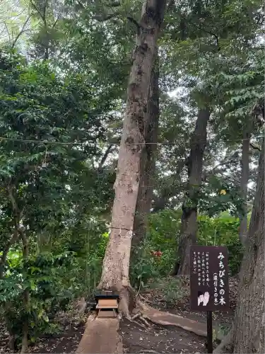 鶴嶺八幡宮(神奈川県)