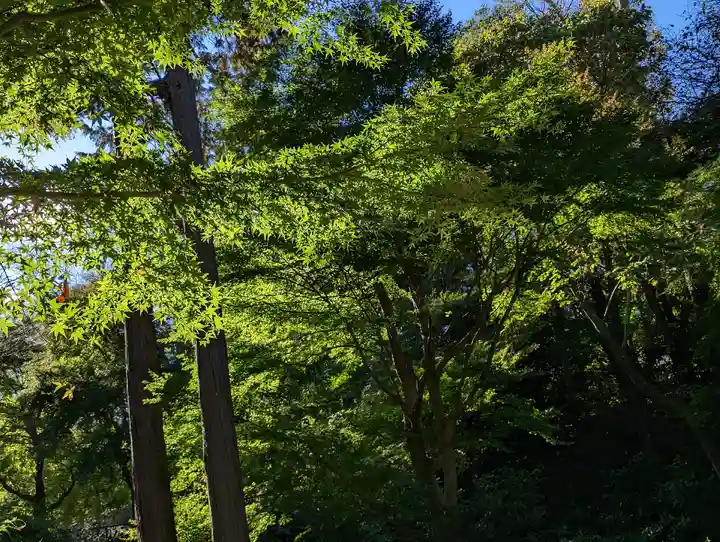 浄智寺(神奈川県)