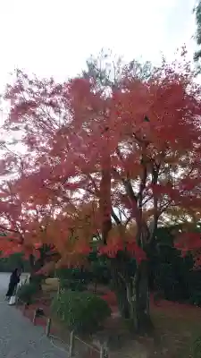 平等院(京都府)