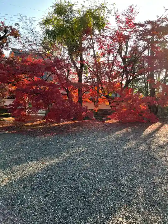 穴太寺(京都府)