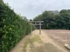 大杉神社(千葉県)