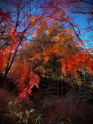 武田神社(山梨県)