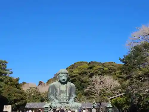 高徳院(神奈川県)