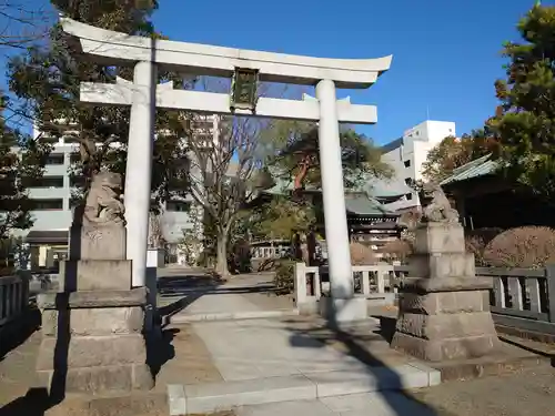 大棚・中川杉山神社の鳥居