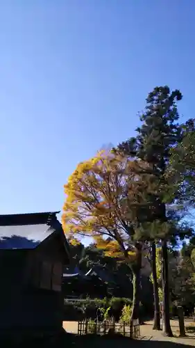 鷲宮神社の自然