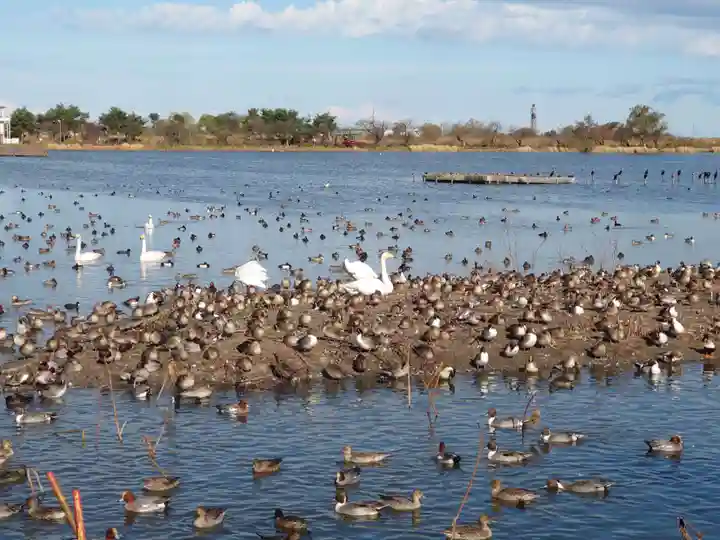 水原八幡宮の自然