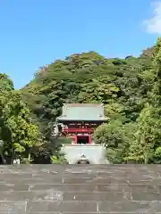 鶴岡八幡宮(神奈川県)