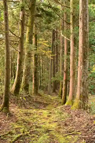 高峯神社(高知県)