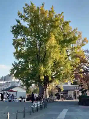 時宗総本山 遊行寺（正式：清浄光寺）(神奈川県)