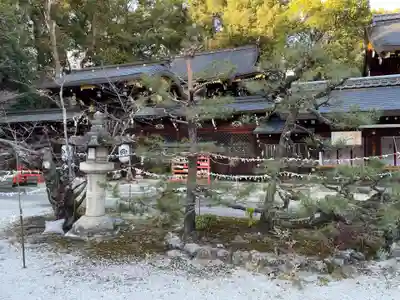 今宮神社のおみくじ